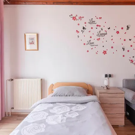 Apartma Franko Appartamento