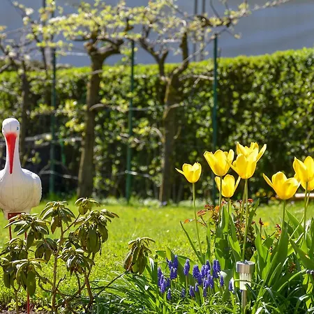 Apartma Franko Апартаменты *