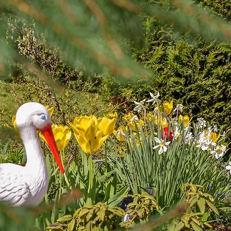 Apartma Franko Apartmán *