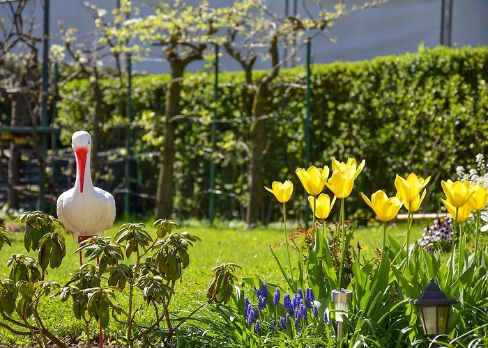 Apartma Franko Apartman *